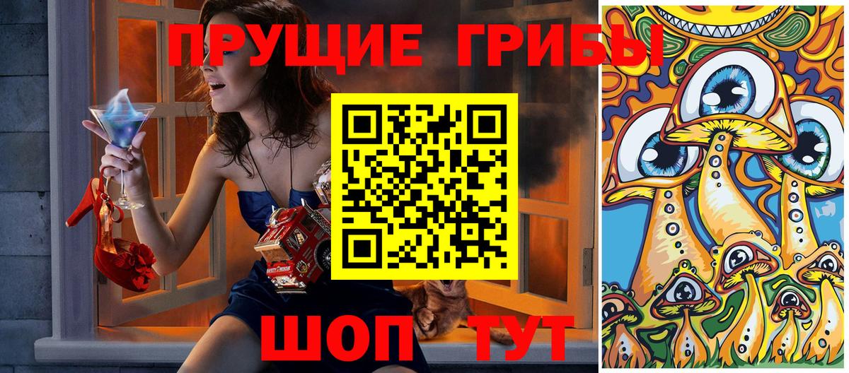 Псилоцибиновые грибы Cubensis  Вход с VPN  Вязники  Псилоцибиновые грибы ЛСД 